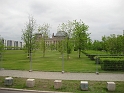 bild (40)